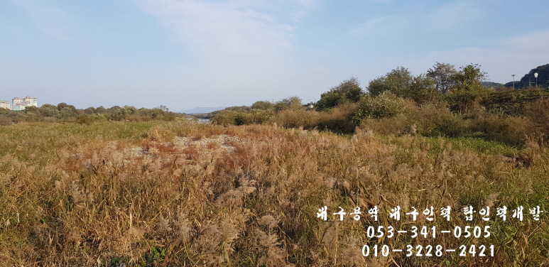 탑 직업소개소 이미지