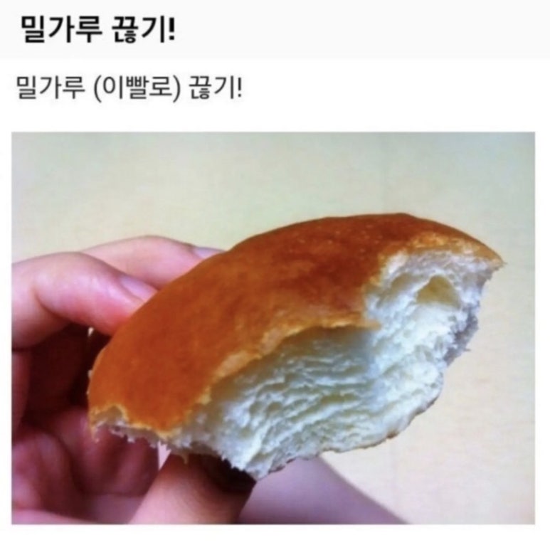 버기즈 이미지