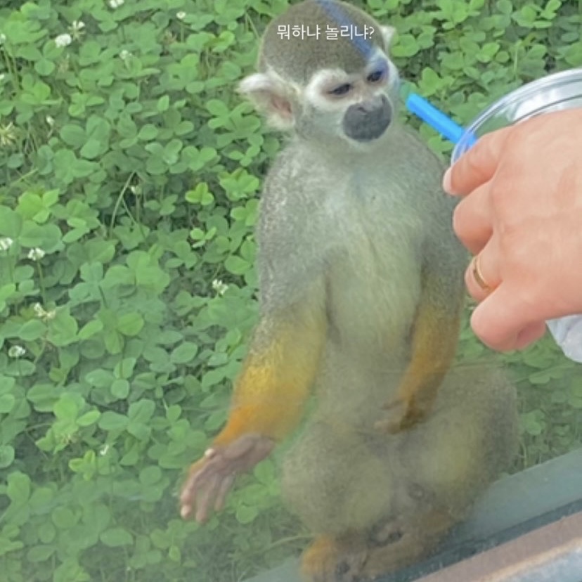 오알엘하우스 이미지