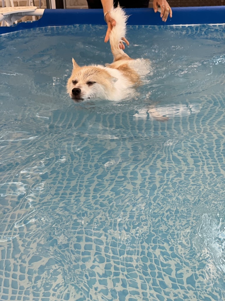 신짱쭈꾸미 이미지