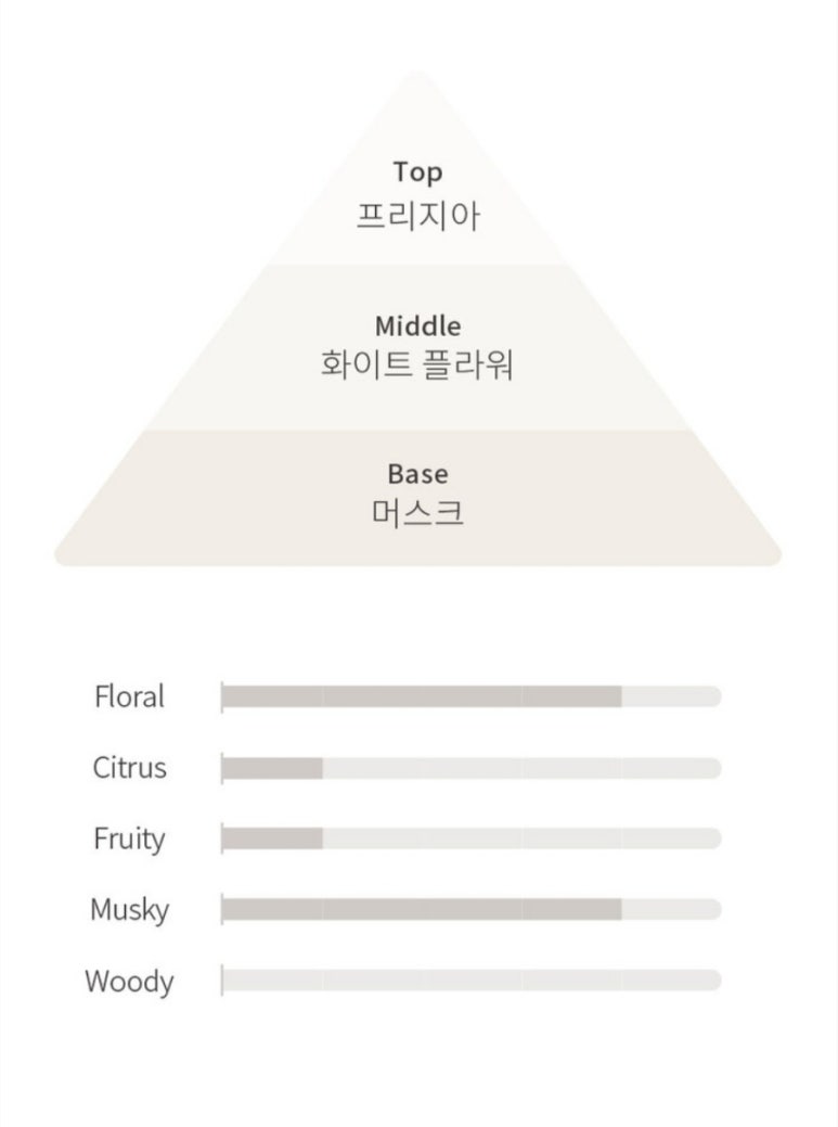 오디크 이미지