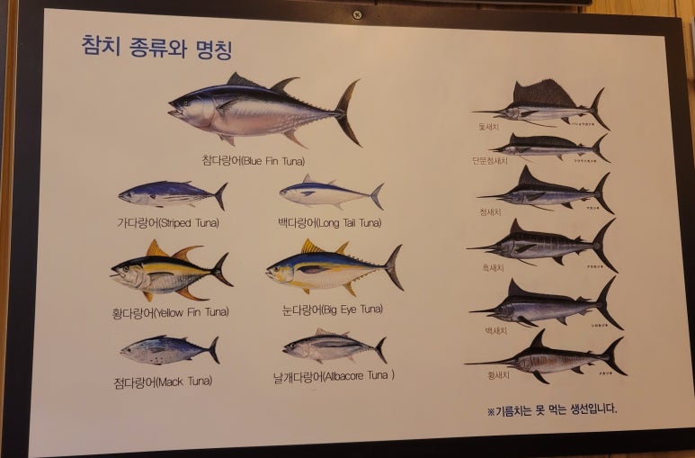 율참치 이미지