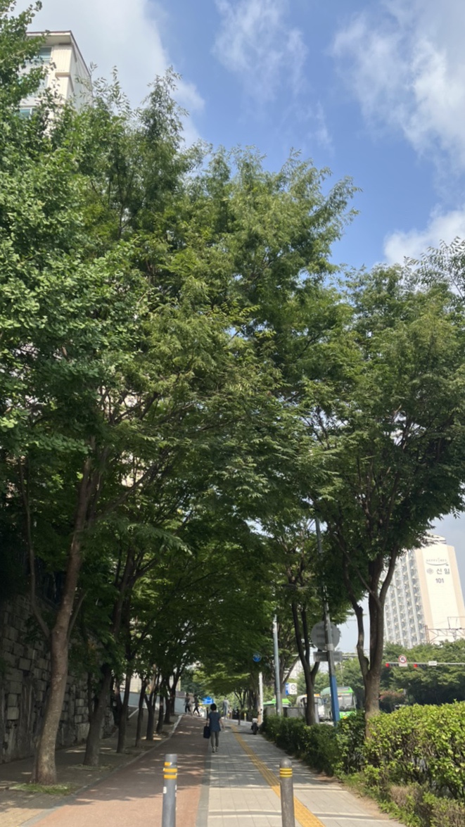 여르메 이미지