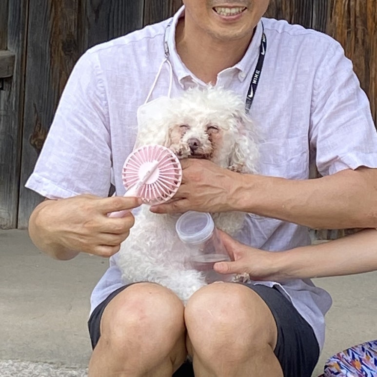 하회로가는펜션형민박 이미지