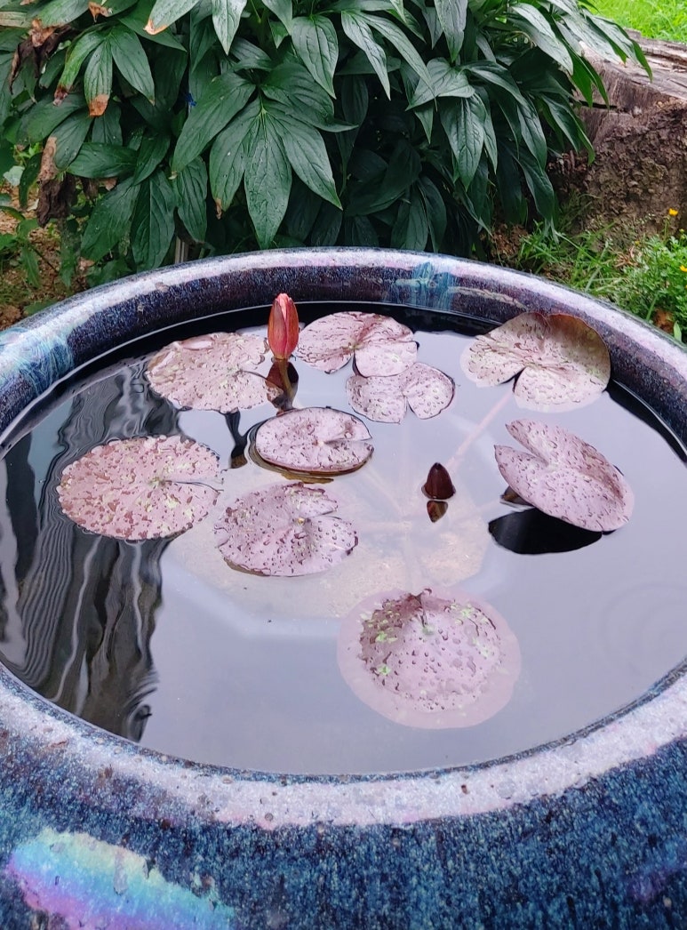진향당 이미지