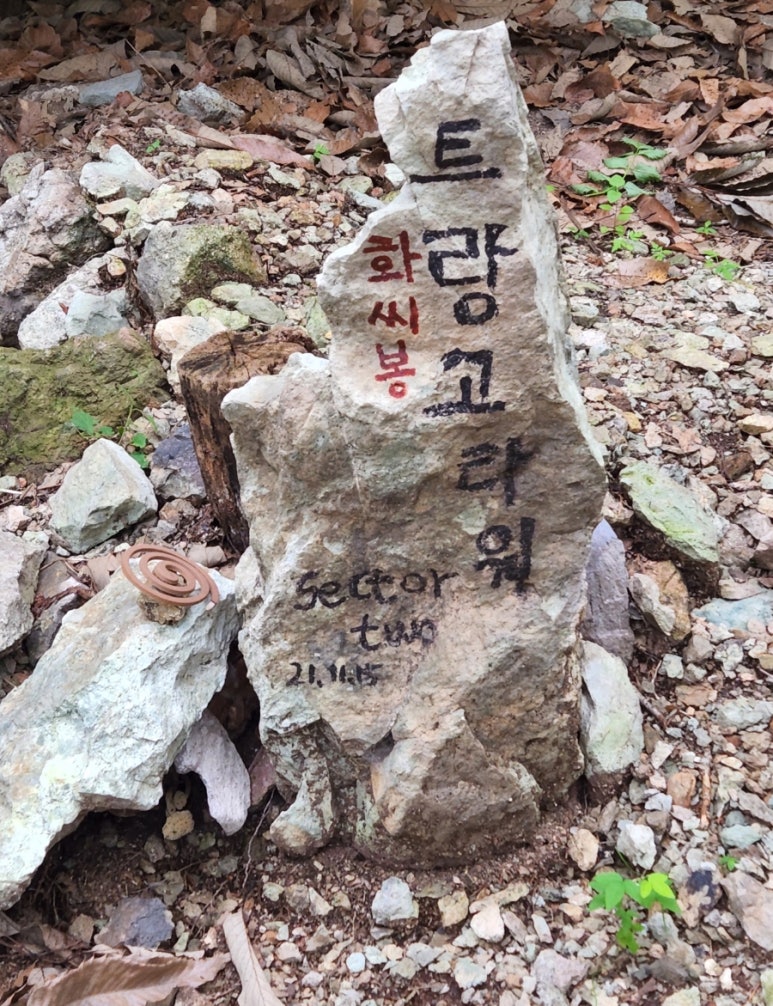 고인돌보강 이미지