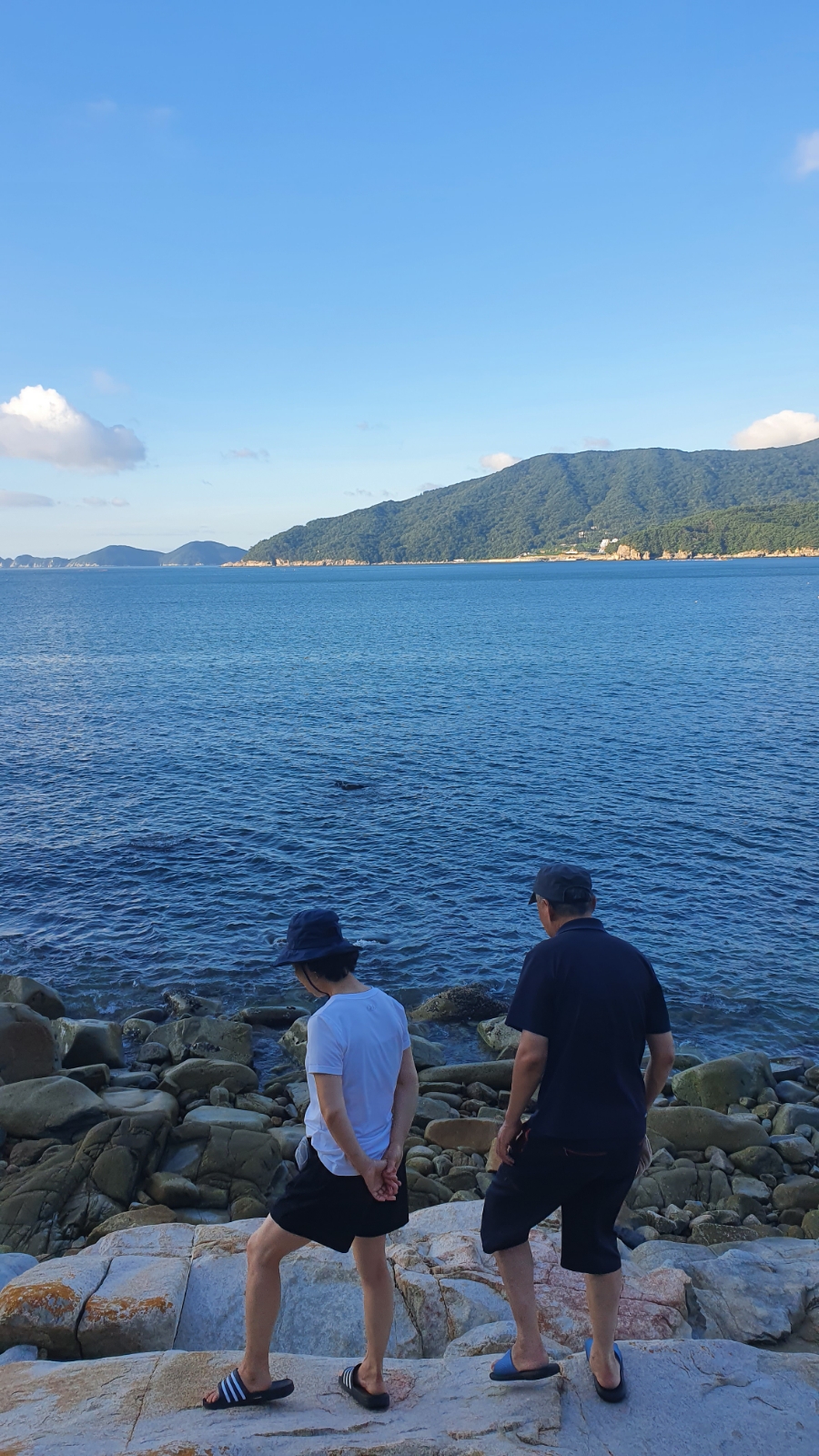 몽돌닭강정&치킨 이미지