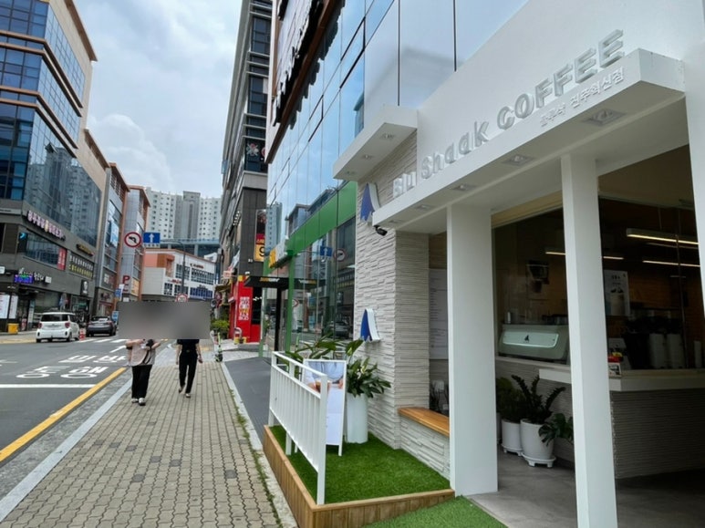 블루샥진주 이미지