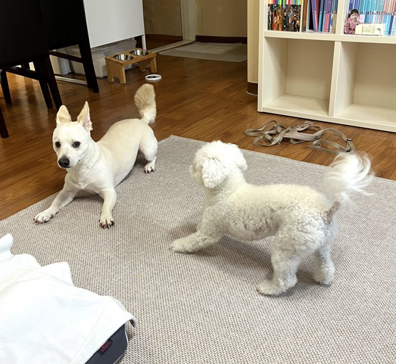 신도반점 이미지