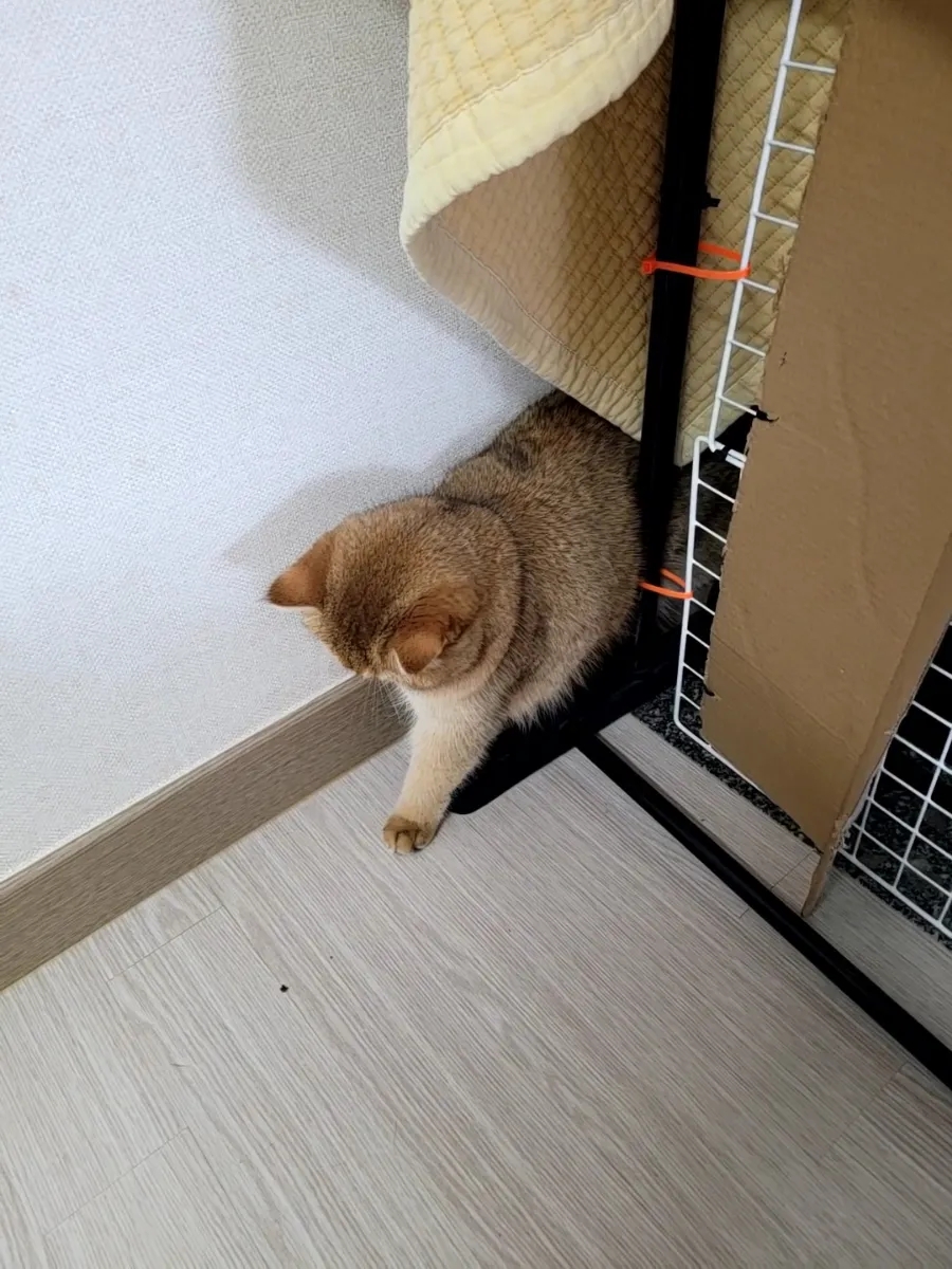 펫홀릭더라이프 이미지