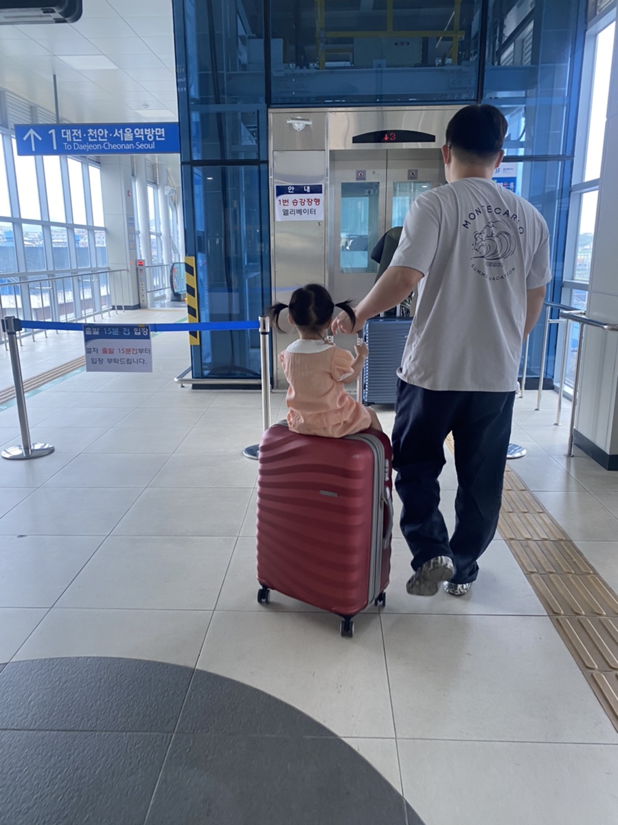 시고르하우스 이미지