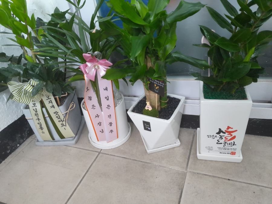 덮당 이미지