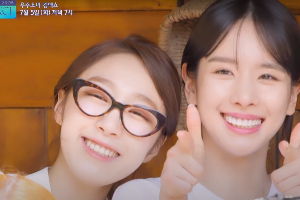 애드캣츠 이미지