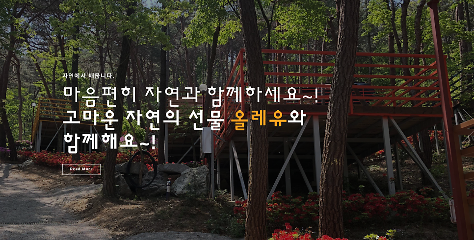 올레유 캠핑장 이미지