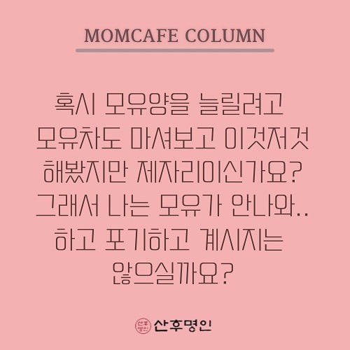 카페칼럼 이미지