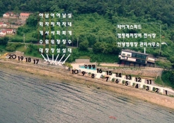타이거오토 이미지