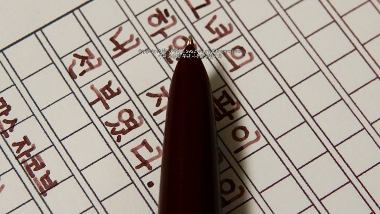 돈파카 이미지