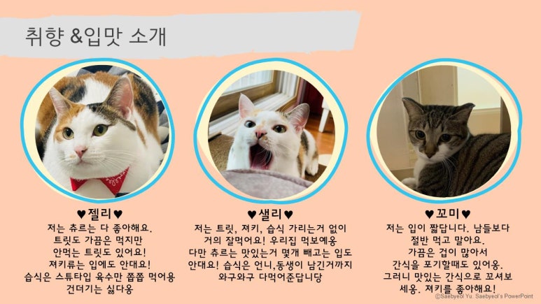 브로스델리 이미지