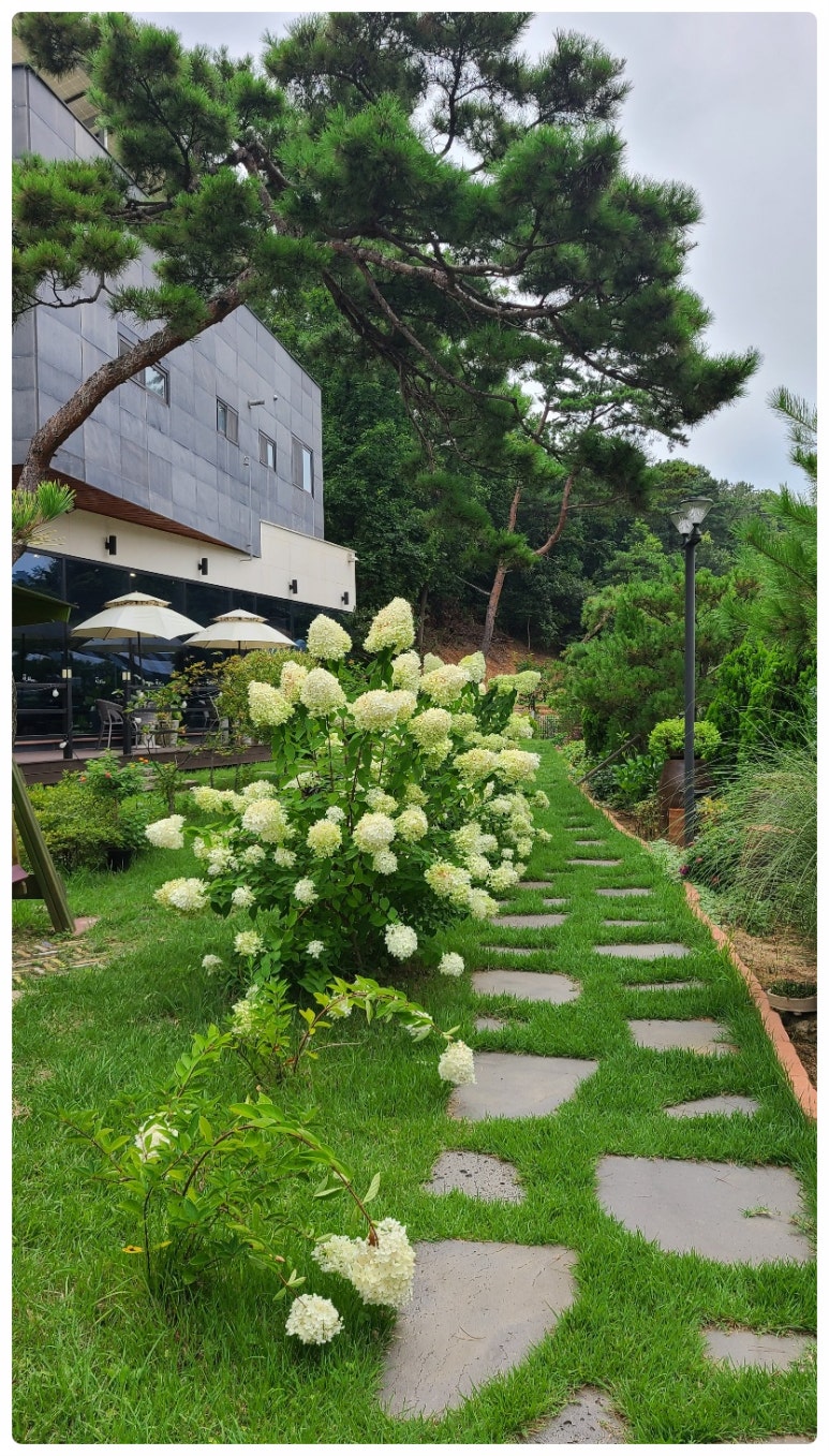 차*희 이미지