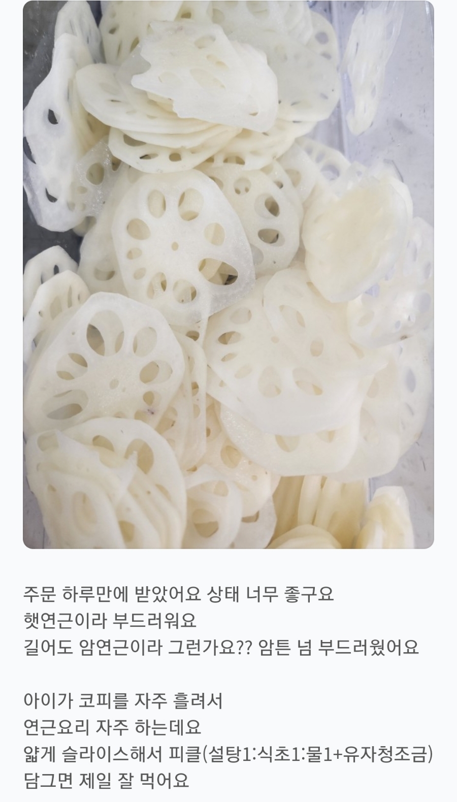 알찬연근팜 이미지