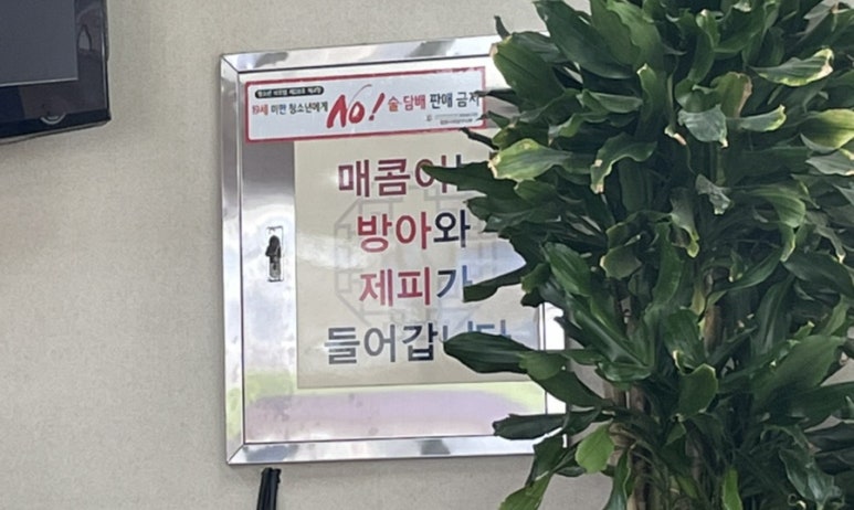손수제비 이미지