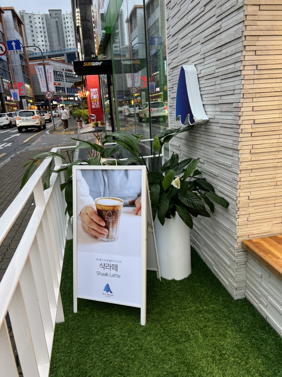 블루샥진주 이미지
