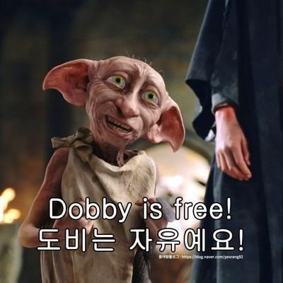 블루토마토 이미지