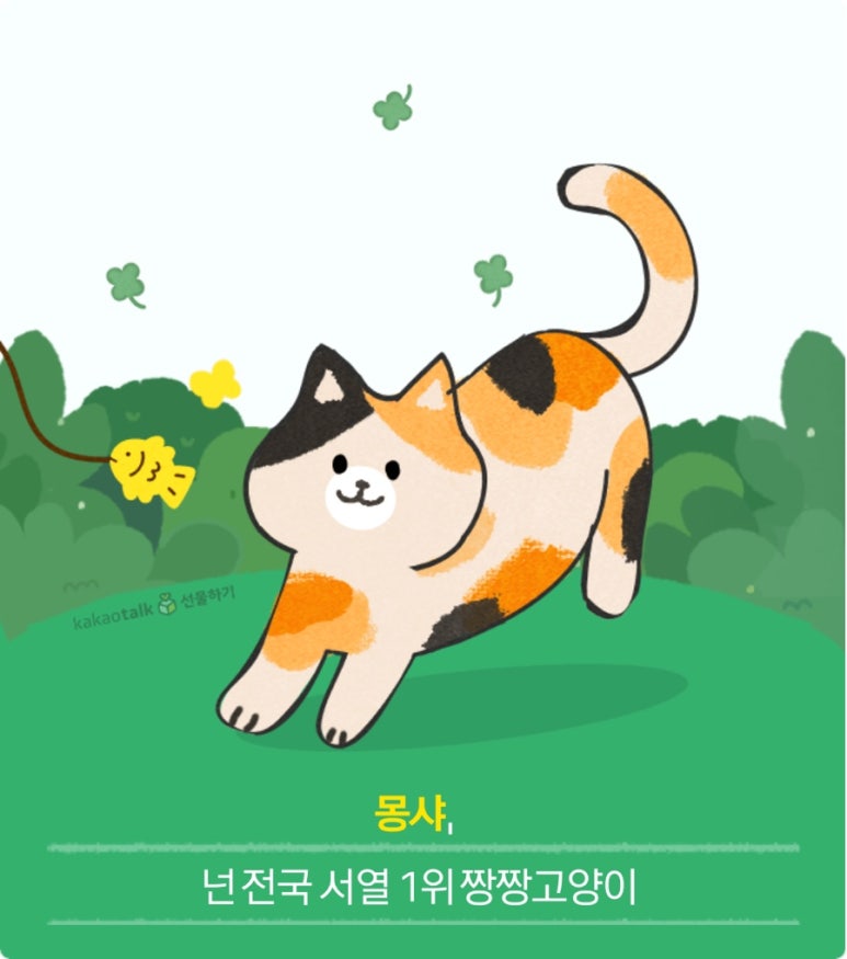 포토이즘컬러드 이미지