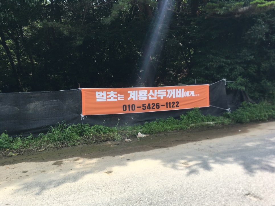 계룡산두꺼비 이미지