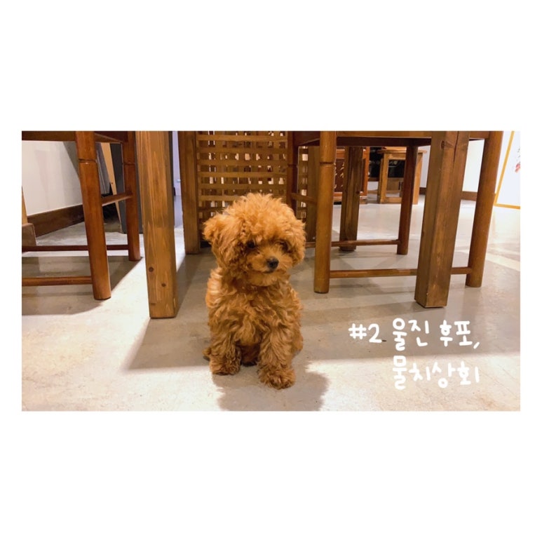 후포상회 이미지