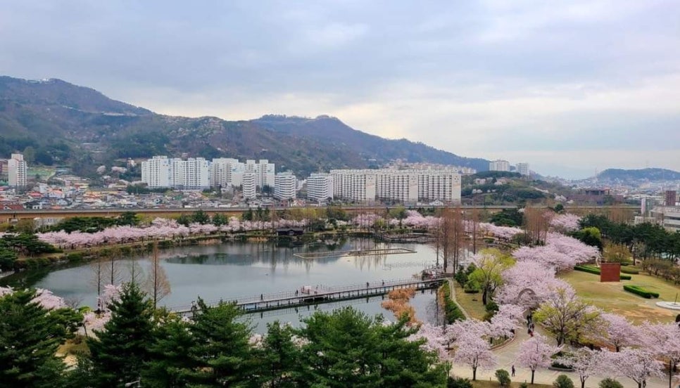 치유행정사 이미지