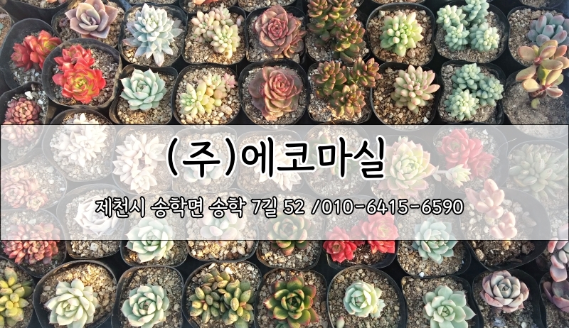 농업회사법인(주)에코 이미지
