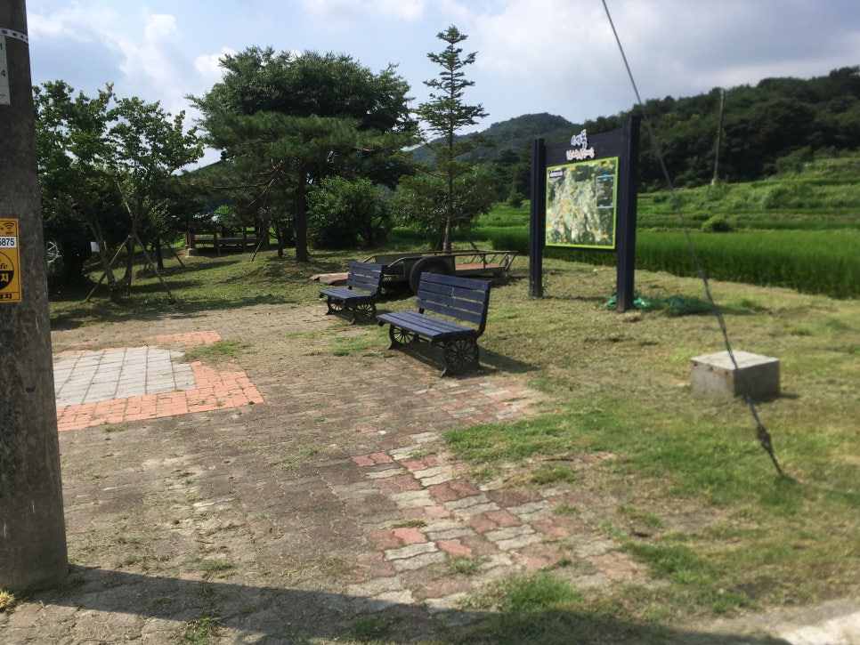 계룡산두꺼비 이미지