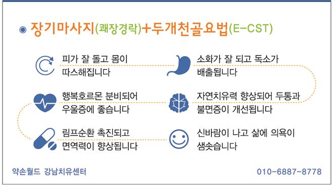 시더스롱제비티 이미지