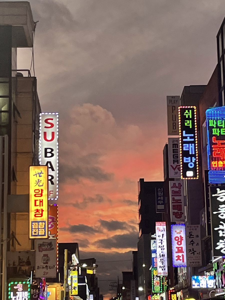 술마켓바 이미지