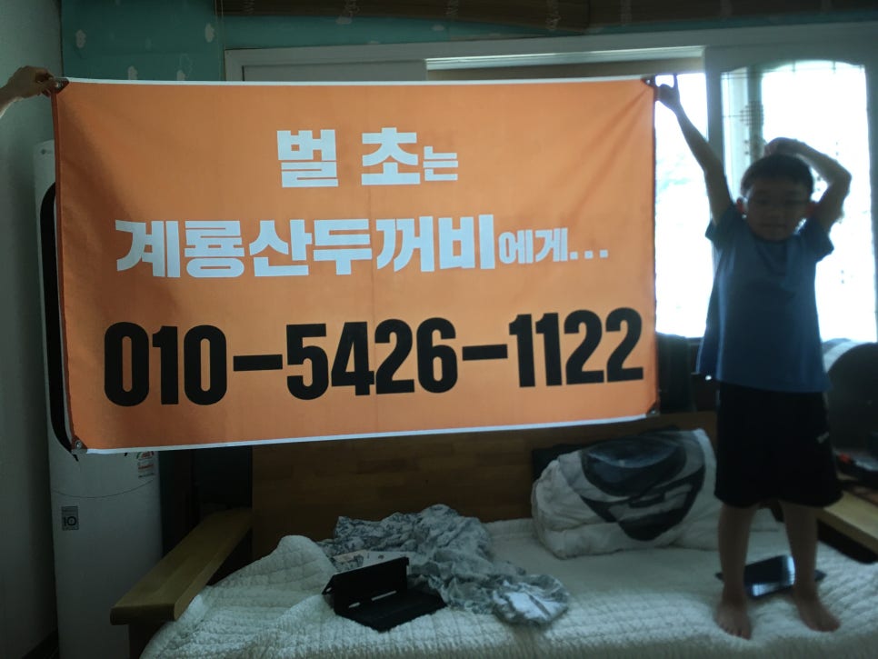 계룡산두꺼비 이미지
