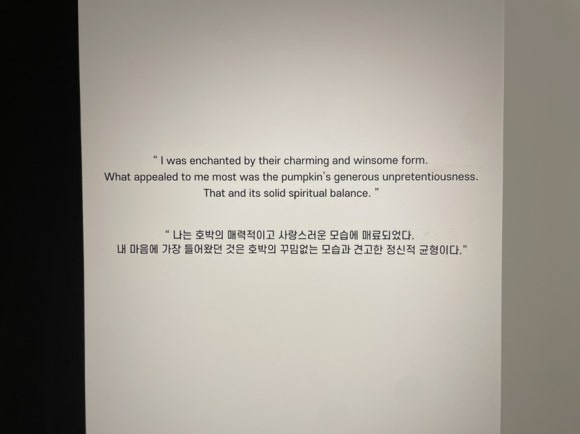 호박갤러리 이미지