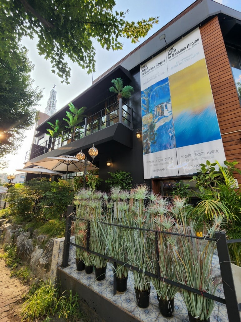 마시모레지나 이미지