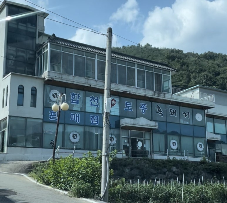 합천명품토종흑돼지 이미지