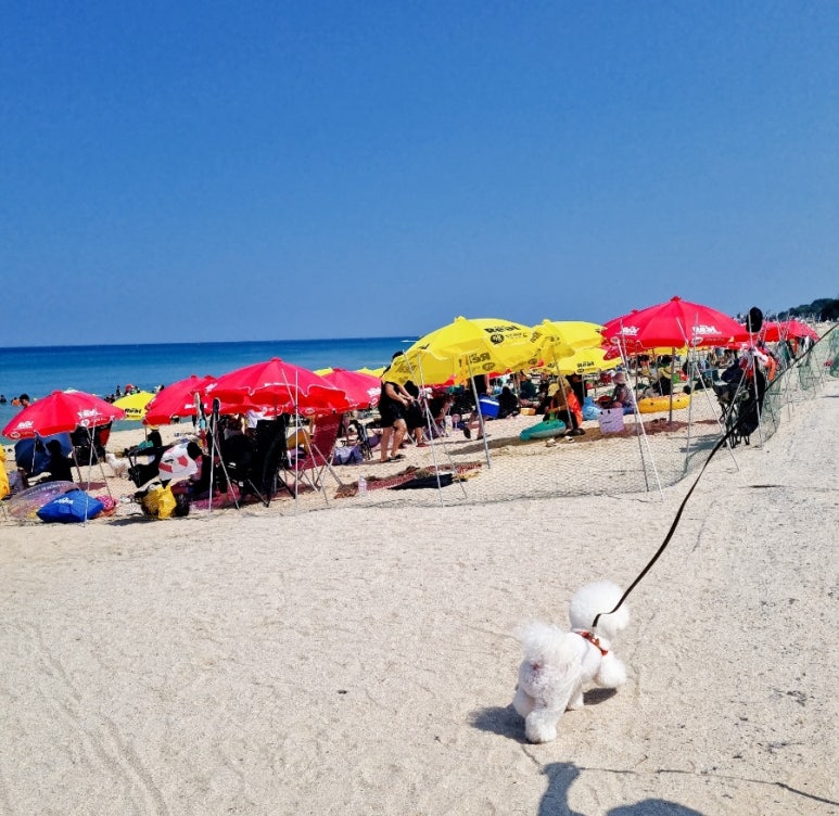 (주)멍비치 이미지
