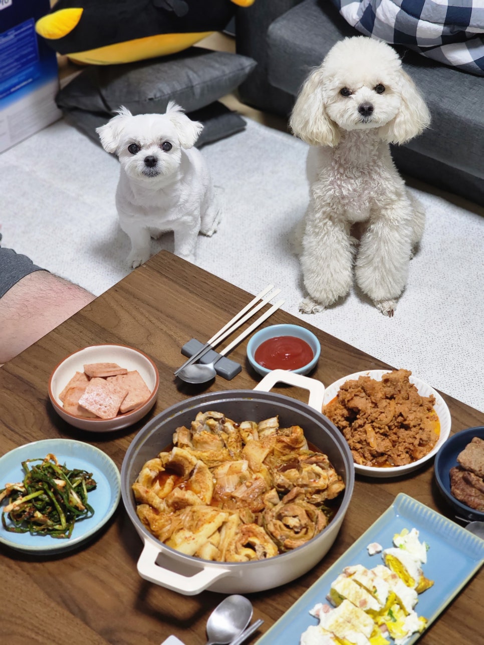 타타스 이미지