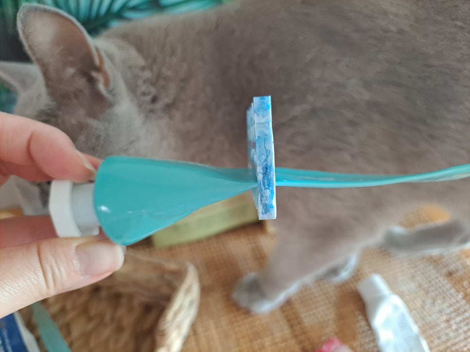업사이클린 이미지