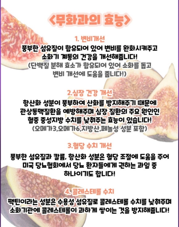 베이킹 팡팡 이미지