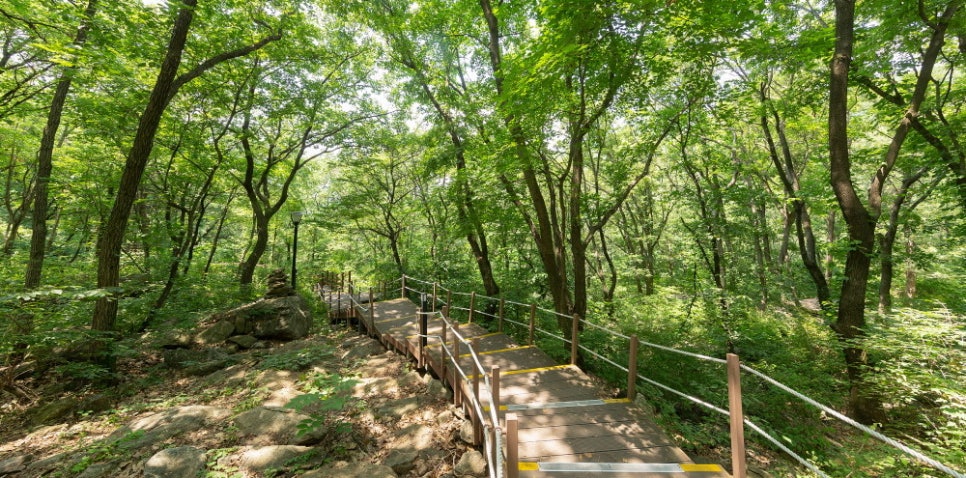 백운산 자연휴양림 야영장 이미지