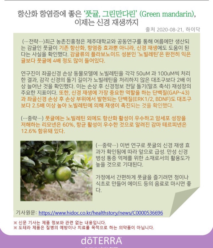 만다린 이미지