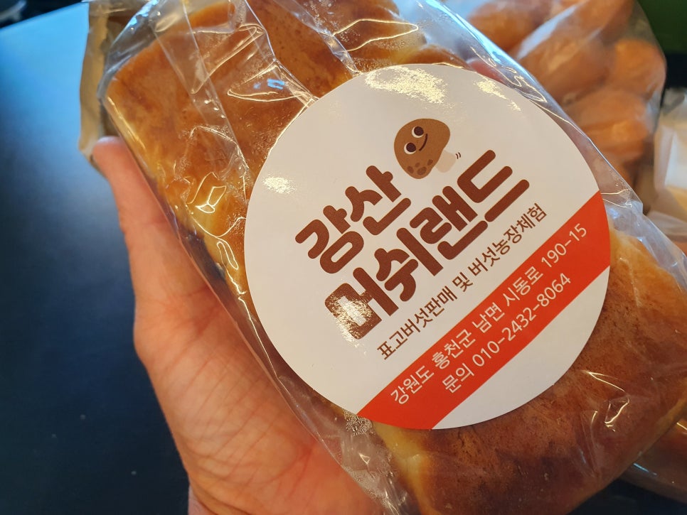 강산머쉬랜드 이미지