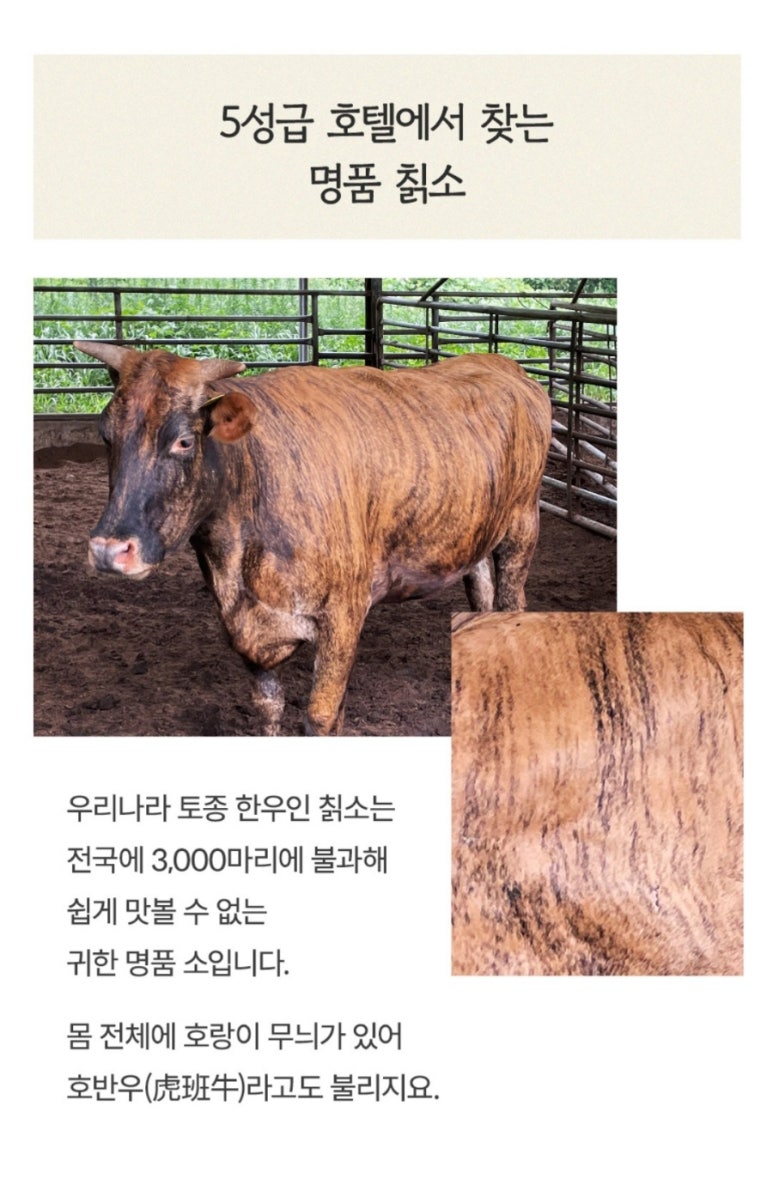 우성한우농장 이미지
