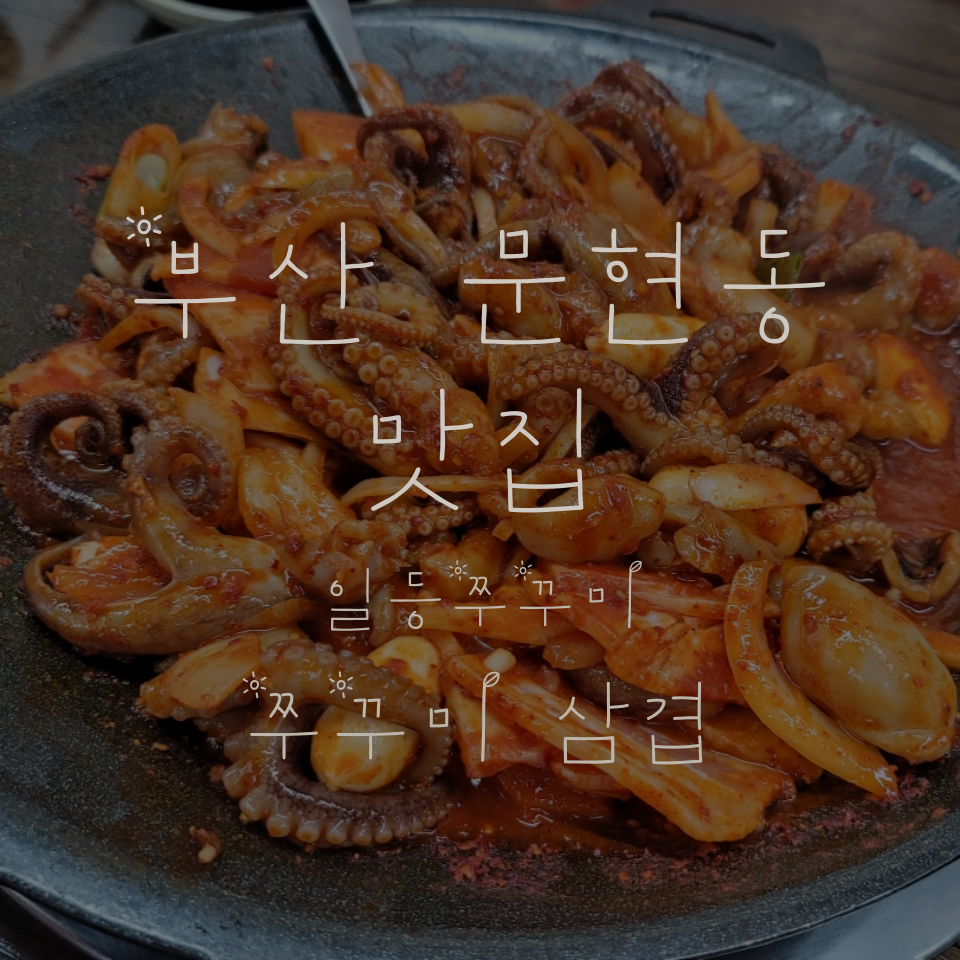 일등쭈꾸미 이미지