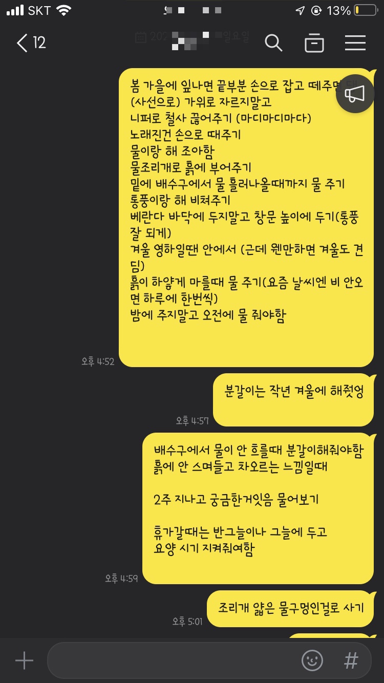 식물작업실 송하 이미지