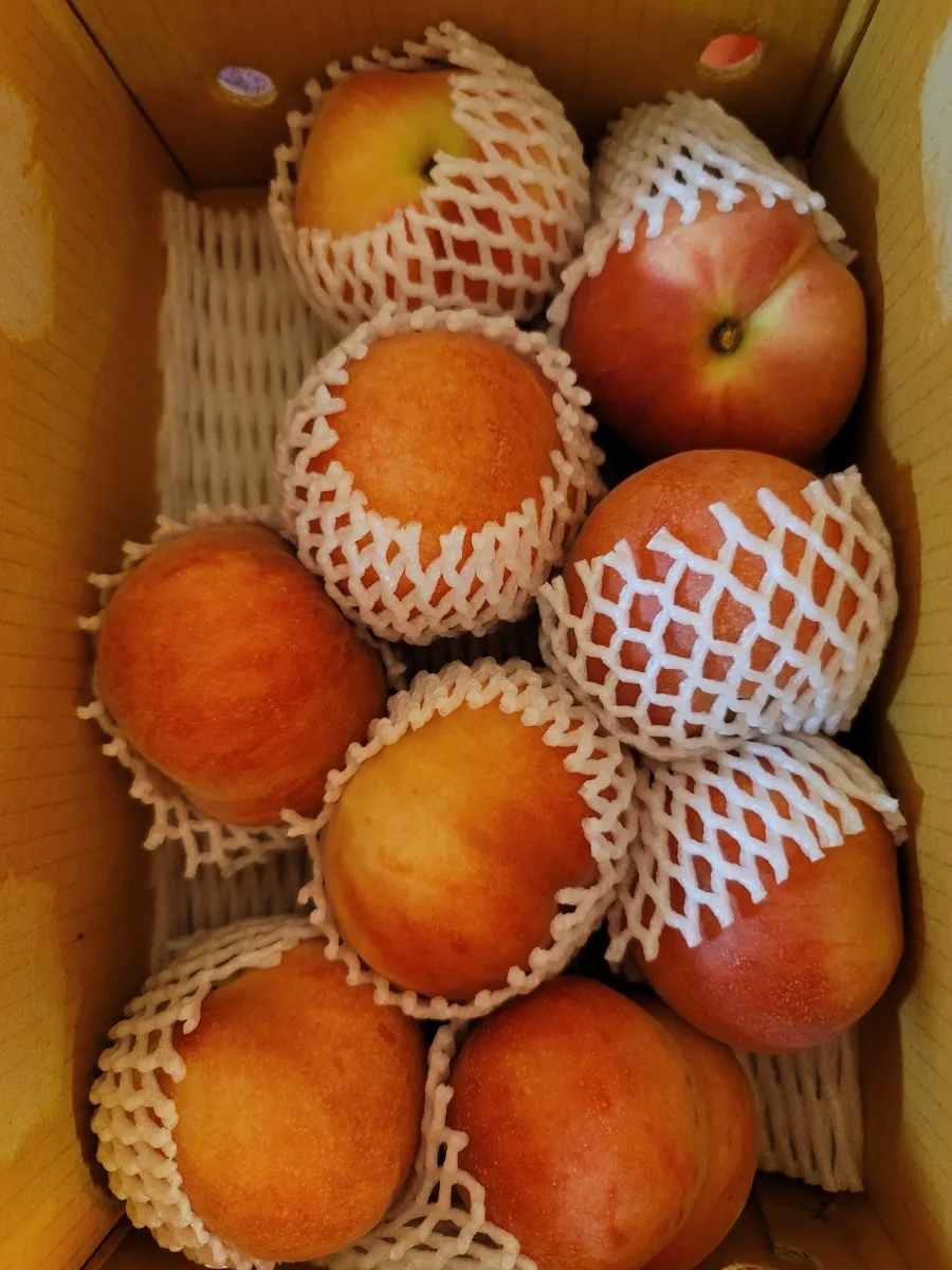 삼일농산 이미지
